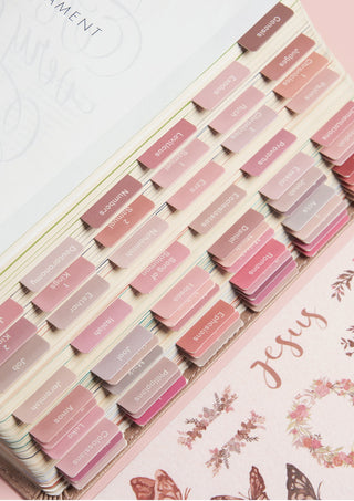 BIBLE TABS