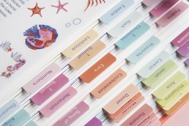 Bible Tabs - Coral Reef - Blieve