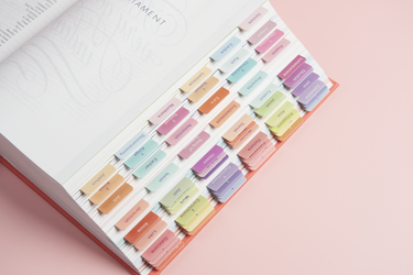 Bible Tabs - Coral Reef - Blieve