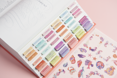 Bible Tabs - Coral Reef - Blieve