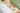 Bible Tabs - Earthy - Blieve
