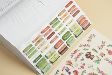 Bible Tabs - Earthy - Blieve
